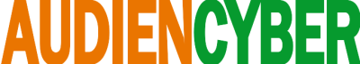 CB2021 - Audiencyber
